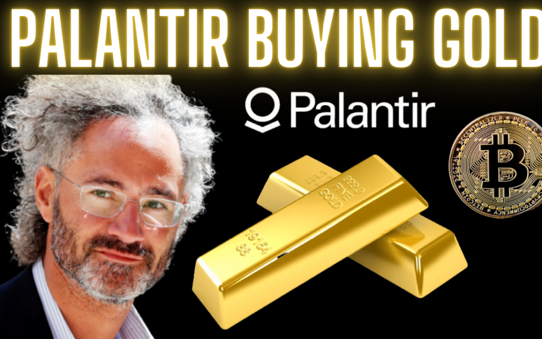 Palantir is buying GOLD | How to invest into gold funds? | Palantir Stock Valuation